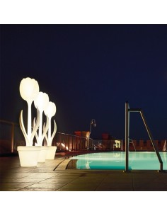 Tulip XL luz interior de...