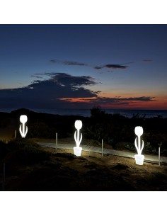 Tulip XL luz interior de... 2