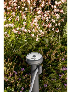 Flamingo Cenicero Myyour